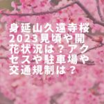 身延山久遠寺桜2023見頃や開花状況は？アクセスや駐車場や交通規制は？
