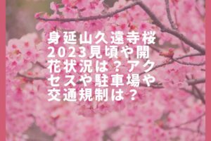 身延山久遠寺桜2023見頃や開花状況は？アクセスや駐車場や交通規制は？