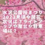 水沢公園桜まつり2023見頃や開花状況は？ライトアップや屋台や駐車場は？