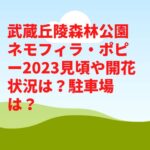 武蔵丘陵森林公園ネモフィラ・ポピー2023見頃や開花状況は？駐車場やアクセスは？