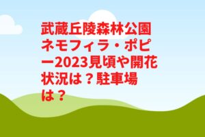 武蔵丘陵森林公園ネモフィラ・ポピー2023見頃や開花状況は？駐車場やアクセスは？