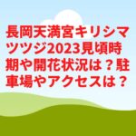 長岡天満宮キリシマツツジ2023見頃時期や開花状況は？駐車場やアクセスは？