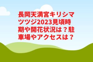長岡天満宮キリシマツツジ2023見頃時期や開花状況は？駐車場やアクセスは？
