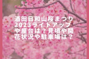 酒田日和山桜まつり2023ライトアップや屋台は？見頃や開花状況や駐車場は？