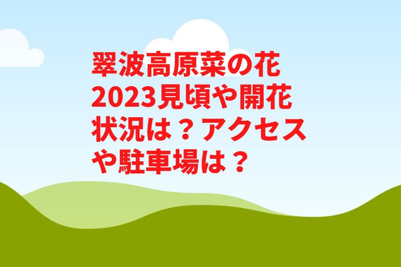 翠波高原菜の花2023見頃や開花状況は？アクセスや駐車場は？