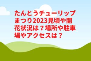 たんとうチューリップまつり2023見頃や開花状況は？場所や駐車場やアクセスは？