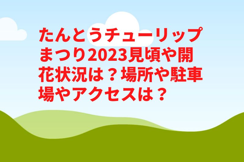 たんとうチューリップまつり2023見頃や開花状況は？場所や駐車場やアクセスは？