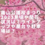 楯山公園桜まつり2023見頃や開花状況は？ライトアップや屋台や駐車場は？