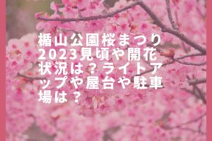 楯山公園桜まつり2023見頃や開花状況は？ライトアップや屋台や駐車場は？