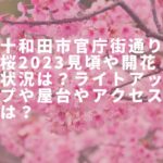 十和田市官庁街通り桜2023見頃や開花状況は？ライトアップや屋台やアクセスは？
