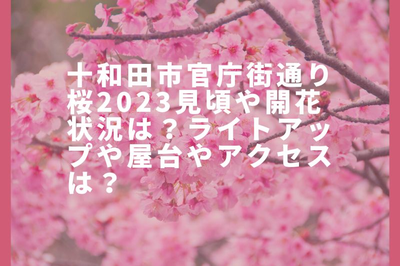 十和田市官庁街通り桜2023見頃や開花状況は?ライトアップや屋台やアクセスは?