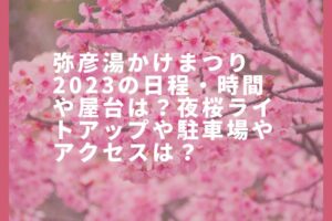 弥彦湯かけまつり2023の日程・時間や屋台は？夜桜ライトアップや駐車場やアクセスは？