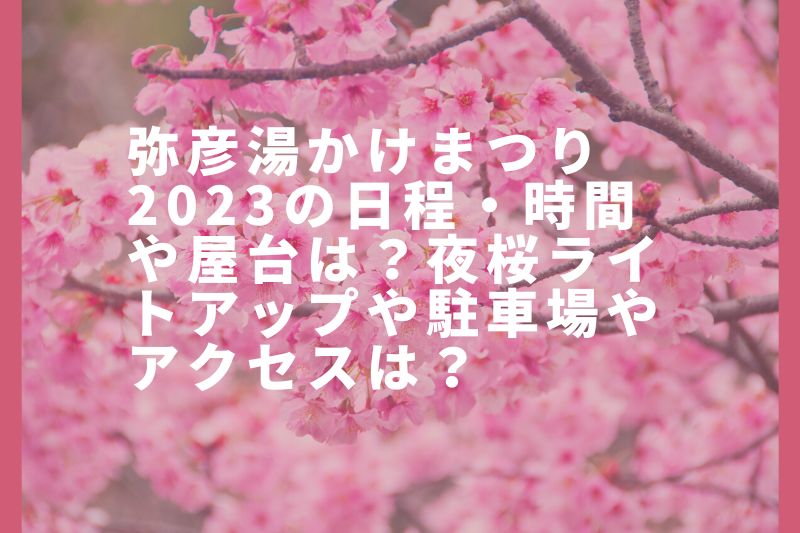 弥彦湯かけまつり2023の日程・時間や屋台は？夜桜ライトアップや駐車場やアクセスは？
