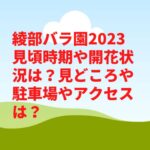 綾部バラ園2023見頃時期や開花状況は？見どころや駐車場やアクセスは？