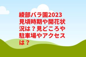 綾部バラ園2023見頃時期や開花状況は？見どころや駐車場やアクセスは？