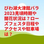 びわ湖大津館バラ2023見頃時期や開花状況は？ローズフェスタ日程やアクセスや駐車場は？