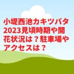 小堤西池カキツバタ2023見頃時期や開花状況は？駐車場やアクセスは？