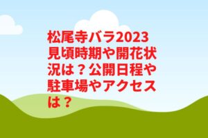 松尾寺バラ2023見頃時期や開花状況は?公開日程や駐車場やアクセスは?