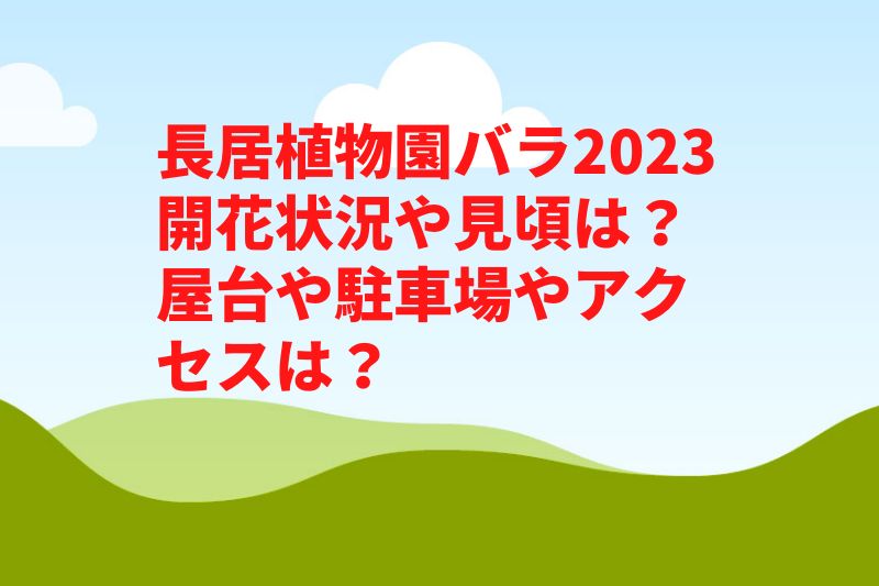 長居植物園バラ2023開花状況や見頃は？屋台や駐車場やアクセスは？