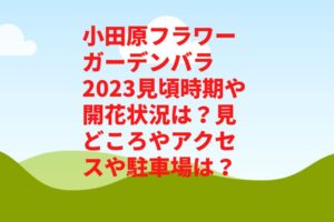 小田原フラワーガーデンバラ2023見頃時期や開花状況は?見どころやアクセスや駐車場は?