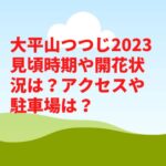 大平山つつじ2023見頃時期や開花状況は？アクセスや駐車場は？