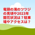 竜頭の滝ツツジ2023見頃時期や開花状況は？駐車場やアクセスは？