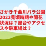 さかき千曲川バラ公園2023見頃時期や開花状況は？屋台やアクセスや駐車場は？