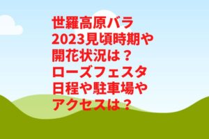 世羅高原バラ2023見頃時期や開花状況は？ローズフェスタ日程や駐車場やアクセスは？