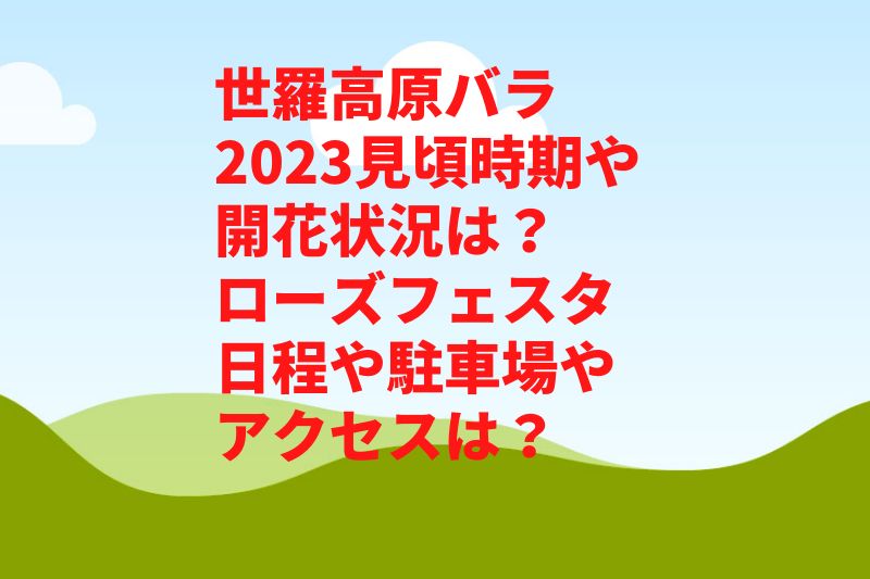 世羅高原バラ2023見頃時期や開花状況は？ローズフェスタ日程や駐車場やアクセスは？