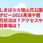 しまばら火張山花公園ポピー2023見頃や開花状況は？アクセスや駐車場は？