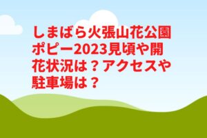 しまばら火張山花公園ポピー2023見頃や開花状況は？アクセスや駐車場は？