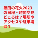 篠田の花火2023の日程・時間や見どころは？場所やアクセスや駐車場は？