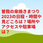 曽我の傘焼きまつり2023の日程・時間や見どころは？場所やアクセスや駐車場は？