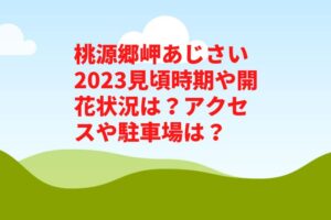 桃源郷岬あじさい2023見頃時期や開花状況は？アクセスや駐車場は？