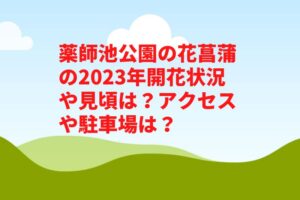 薬師池公園花菖蒲2023開花状況や見頃は？屋台や駐車場やアクセスは？