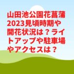 山田池公園花菖蒲2023見頃時期や開花状況は？ライトアップや駐車場やアクセスは？