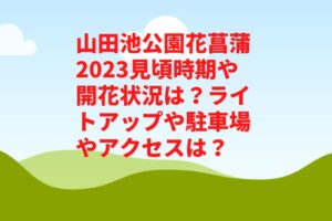 山田池公園花菖蒲2023見頃時期や開花状況は？ライトアップや駐車場やアクセスは？