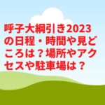 呼子大綱引き2023の日程・時間や見どころは？場所やアクセスや駐車場は？