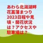あわら北潟湖畔花菖蒲まつり2023日程や見頃・開花状況は？アクセスや駐車場は？