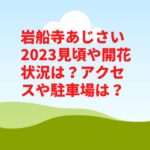 岩船寺あじさい2023見頃や開花状況は？アクセスや駐車場は？　