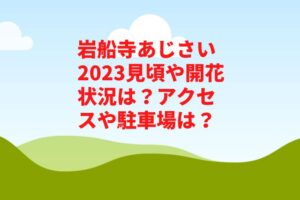 岩船寺あじさい2023見頃や開花状況は?アクセスや駐車場は?