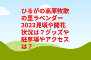 ひるがの高原牧歌の里ラベンダー2023見頃や開花状況は？グッズや駐車場やアクセスは？