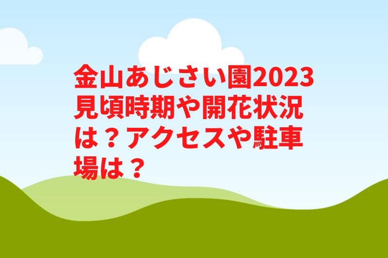 金山あじさい園2023見頃時期や開花状況は？アクセスや駐車場は？