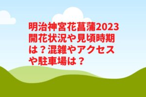 明治神宮花菖蒲2023開花状況や見頃時期は？混雑やアクセスや駐車場は？