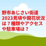 野市あじさい街道2023見頃や開花状況は？種類やアクセスや駐車場は？