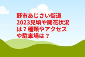 野市あじさい街道2023見頃や開花状況は？種類やアクセスや駐車場は？