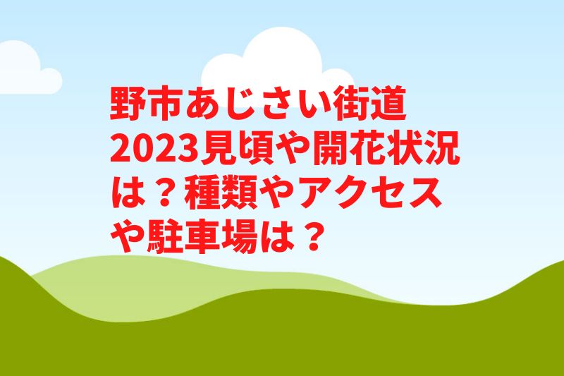 野市あじさい街道2023見頃や開花状況は？種類やアクセスや駐車場は？