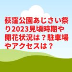 荻窪公園あじさい祭り2023見頃時期や開花状況は？駐車場やアクセスは？