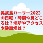奥武島ハーリー2023の日程・時間や見どころは？屋台や場所やアクセスや駐車場は？