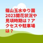 篠山玉水ゆり園2023開花状況や見頃時期は？アクセスや駐車場は？